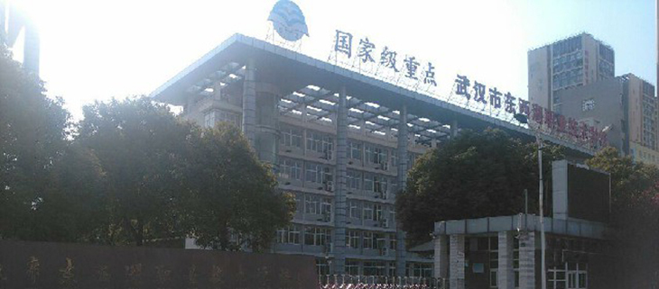 武漢東西湖區職業技術學院項目